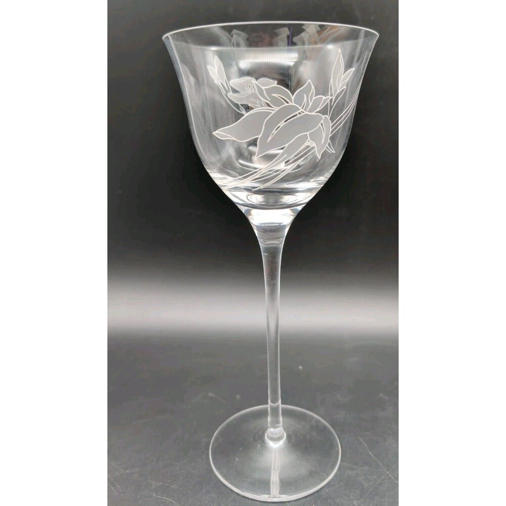 Mikasa Charisma Water Goblet Crystal Glass 9.25" Etched Frosted Lily Flower 1